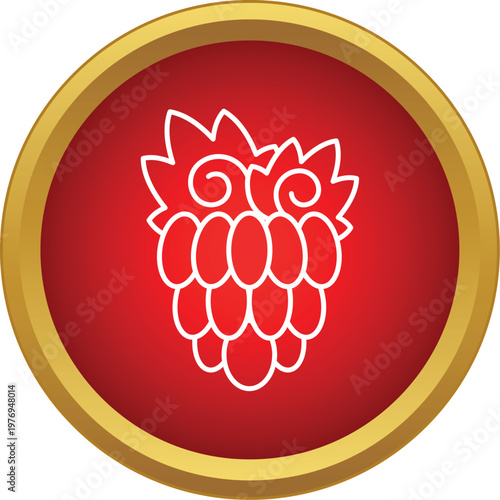 Raspberry outline representing healthy food and natural berry concepts