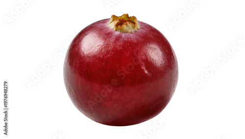 Fotografie Single ripe cranberry with yellow blossom atop glossy surface