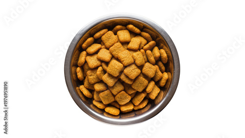 Canvas-taulu Stainless metal bowl full of brown dry pet food kibble