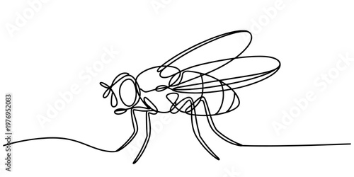 A minimalist single line drawing of a common house fly isolated on a clean white background area