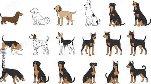 Vector illustration of diverse cartoon dogs in different breeds, colors, and postures