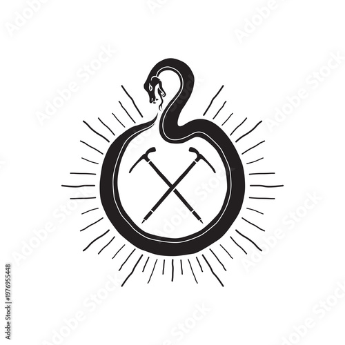 Snake vector on white background