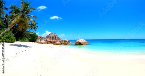 Tropical Paradise Beach with Palm Trees and Turquoise Ocean Waters.