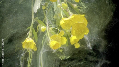 Hanging yellow primrose immersed in green ink, contemplative artist captures meditative flow, soft petals drift through translucent liquid with serene