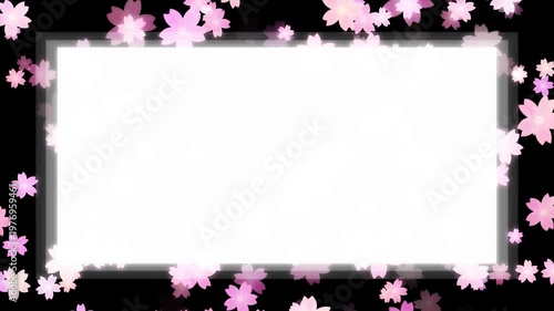 Cherry Blossom Petal Frame Loop