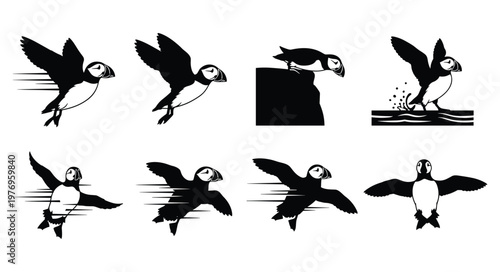 Black Puffin Seabird Silhouette Set Vector Illustration Collection Isolated on White Background