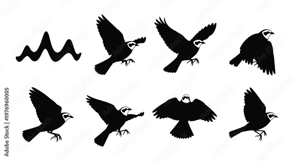 Fototapeta premium Black Sparrow Finch Bird Silhouette Set Vector Illustration Collection Isolated on White Background