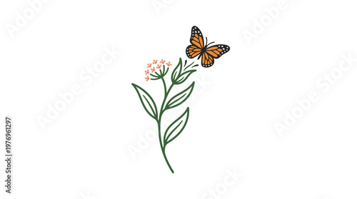 Monarch Butterfly On A Delicate Flowering Plant With Green Leaves