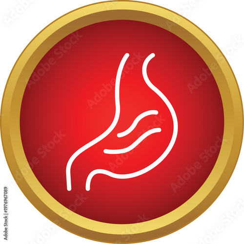 Human stomach organ outline illustrating health, digestion, and internal anatomy
