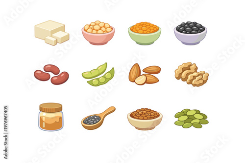 Kidney image almond generation walnut icon bowl block nuts vector seeds lentils