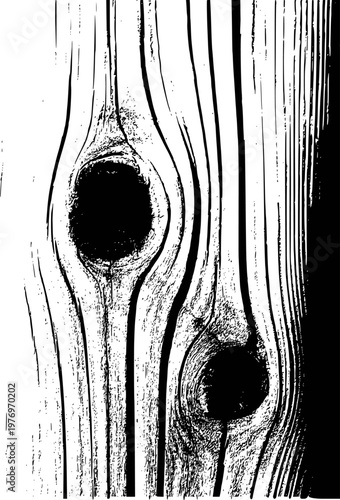 Black and white wood grain texture with knots, abstract natural pattern