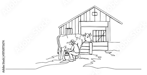 dairy cow standing near farmhouse stable line art drawing