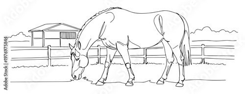 grazing horse in fenced pasture vector
