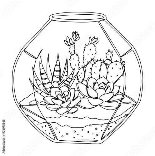 cactus succulent terrarium in geometric glass container vector illustration