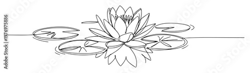 water lily flower with leaves drawing