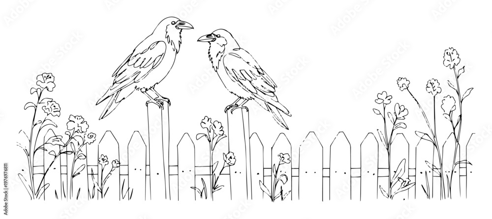 Fototapeta premium two crows on a fence halloween scene line art drawing