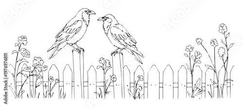 two crows on a fence halloween scene line art drawing