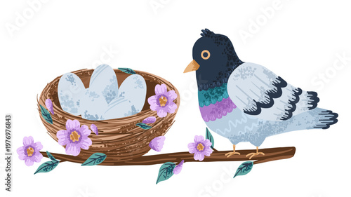 Pigeon bird mom with nest and eggs on tree branch