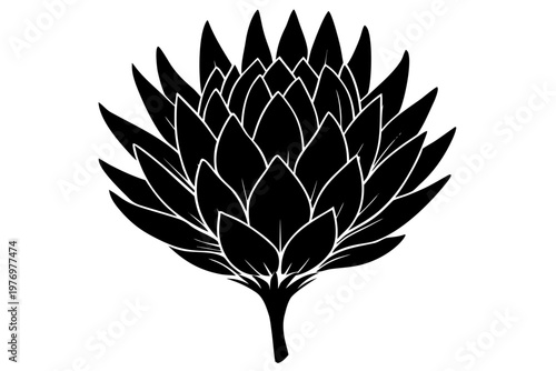 Tableau sur toile King Protea flower icon, king protea flower silhouette vector,  king protea flow
