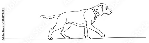hunting dog walking continuous one line drawing vector