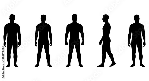 Male body silhouette set, man figure vector, human anatomy outlines