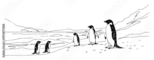 group of adelie penguins on antarctic shore sketch illustration