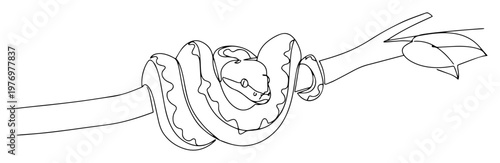 python snake coiled on tree branch continuous one line art vector