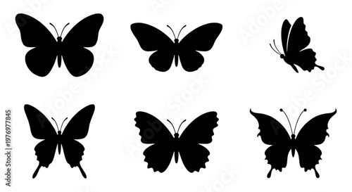 Butterfly silhouette collection, 6 black insect icons, flying moth vectors