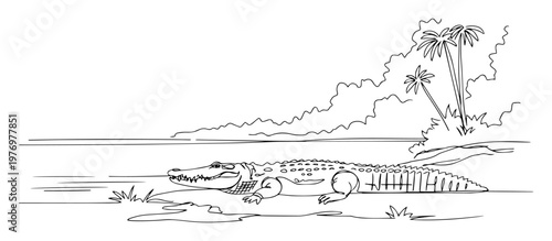 crocodile on river bank in the jungle line art vector drawing