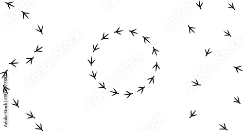 Black vector bird footprints arranged in distinct trail patterns featuring a winding path, a continuous circular loop, and randomly scattered steps on white background.