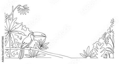 toucan bird on rainforest branch frame monoline outline vector
