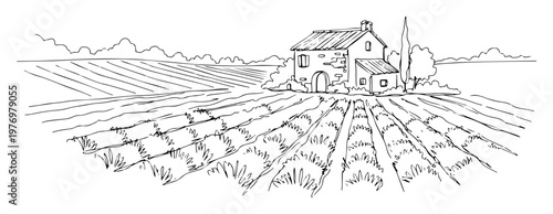 Fotografía vineyard landscape with farmhouse sketch vector lineart illustration