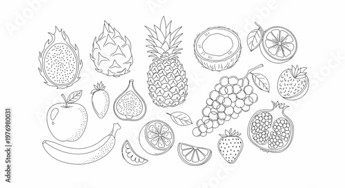 Handdrawn line art collection of various fruits, ideal for educational content, healthy lifestyle promotions, and creative graphic design.