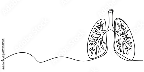Minimalist continuous line drawing of human lungs. Symbolizes respiratory health, anatomy, and vital organs, ideal for medical education and wellness content.