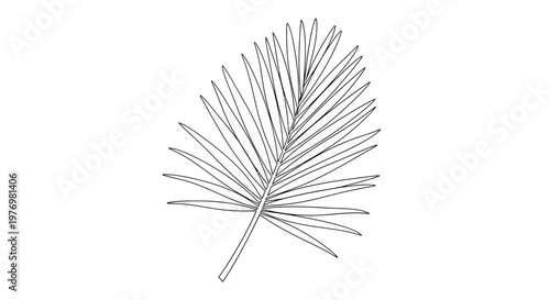 Outline of a tropical palm frond for summer holiday themes, exotic travel, beach branding, and elegant natureinspired compositions.