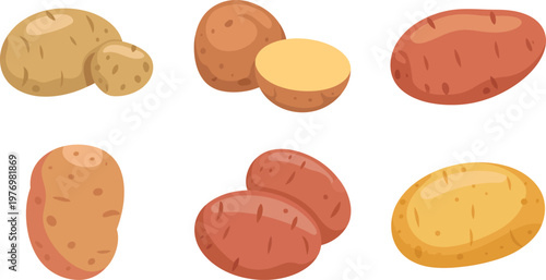 Collection of cartoon potatoes in various shapes and colors on white background