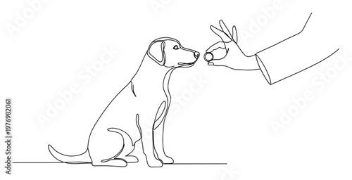 Dog puppy attentively gazing at a human hand offering a treat or medication, representing pet care, animal training, and veterinary health services guidance.