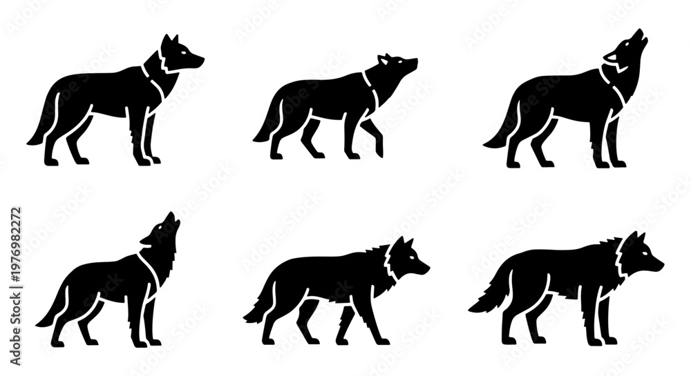 Obraz premium Black wolf silhouette set, howling wild animal icons, 6 vector wolf poses