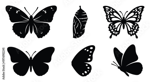 Collection of graceful butterfly silhouettes and pupa showcasing various stages and poses perfect for nature themed projects and biological education