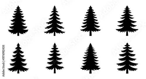 Pine tree silhouette set, 8 evergreen conifer icons, black forest vector