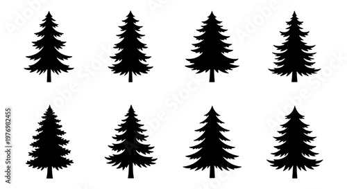 Pine tree silhouette set, 8 evergreen conifer icons, black forest vectors