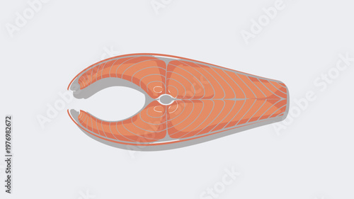 A sliced salmon fillet on a white background, showcasing its vibrant orange color and delicate texture.