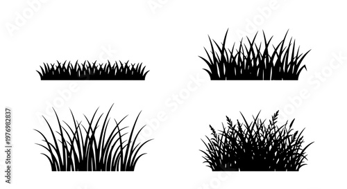 Black grass silhouette vector set, meadow lawn tufts, 4 plant elements