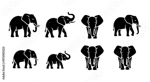 Elephant silhouette icons, 8 black animal vector set, safari wildlife logos