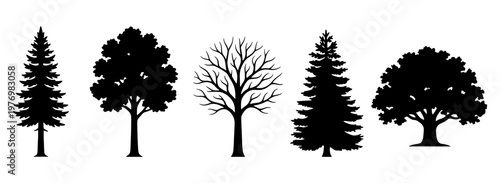 Black tree silhouettes, 5 forest tree icons, pine and oak vector set