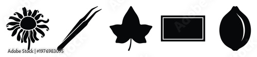 Versatile black silhouette icon collection featuring a blossoming flower, precision tweezers, an ivy leaf, a modern rectangular frame, and a ripe fruit shape for diverse graphic design