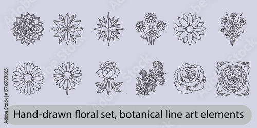 Hand-drawn floral set, botanical line art elements, garden flowers, roses, daisies, and paisley patterns, black and white vector illustration collection.