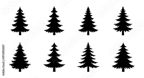 Pine tree silhouette set, 8 evergreen conifer icons, black spruce vectors