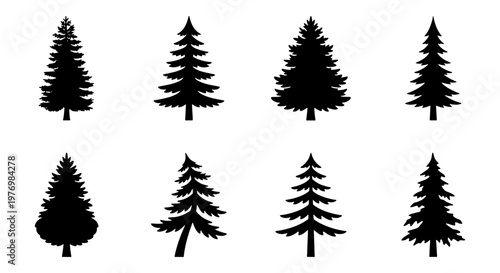 Pine tree silhouette icons, 8 evergreen forest vectors, conifer tree set