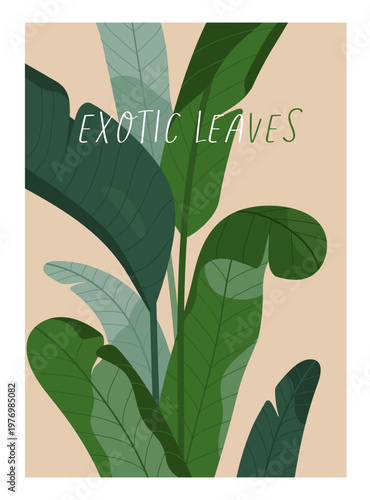 Exotic leaves, strelitzia plant, modern botanical card. Tropical leaf, green foliage, summer poster design in frame. Greenery, nature background. Flora, vertical postcard. Flat vector illustration